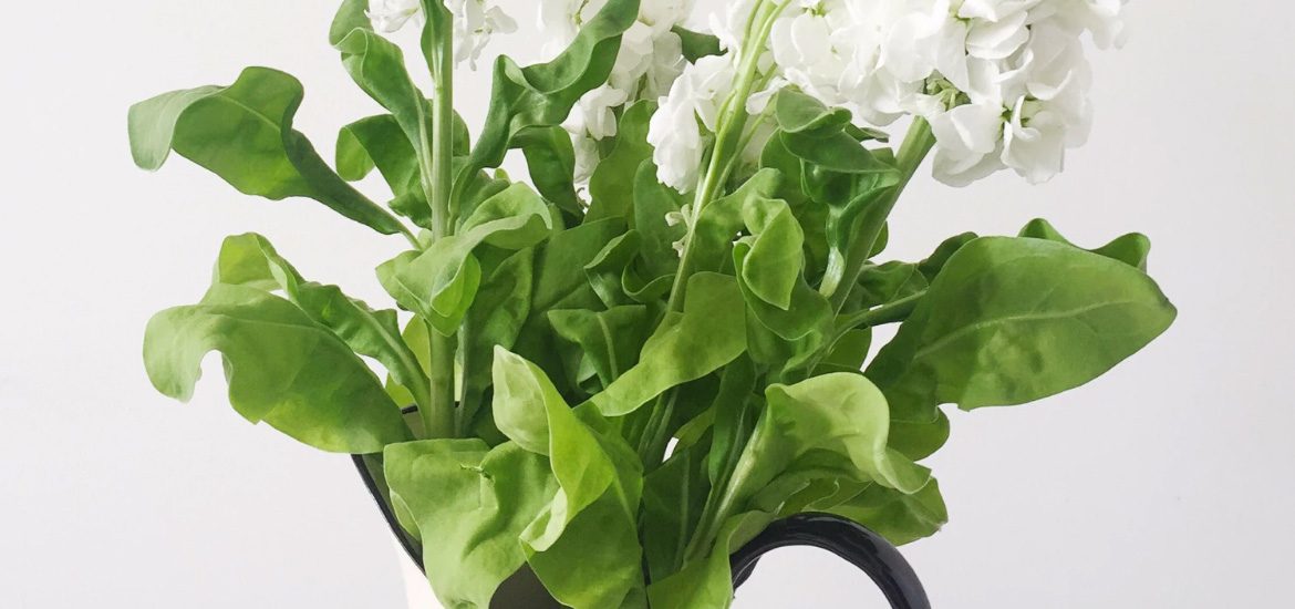 Łazienkowa rewolucja