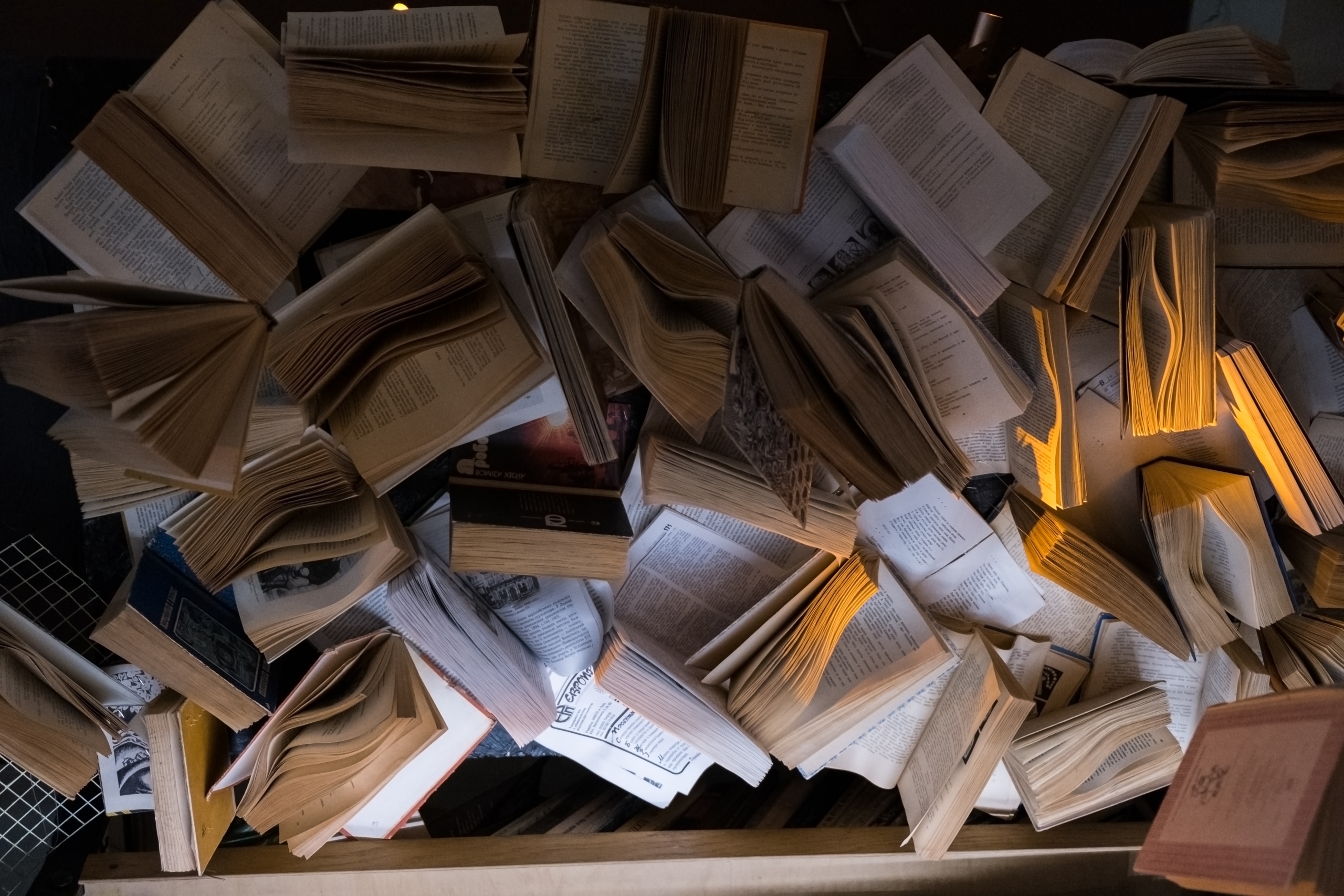 Najlepsze miejsce na książki